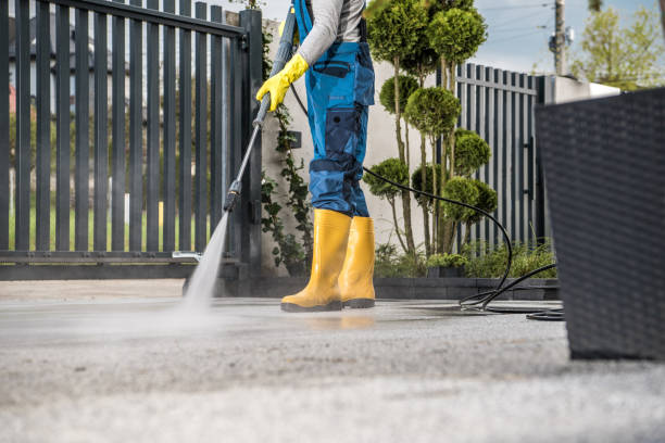 Best Building Exterior Washing  in Sparks, NV